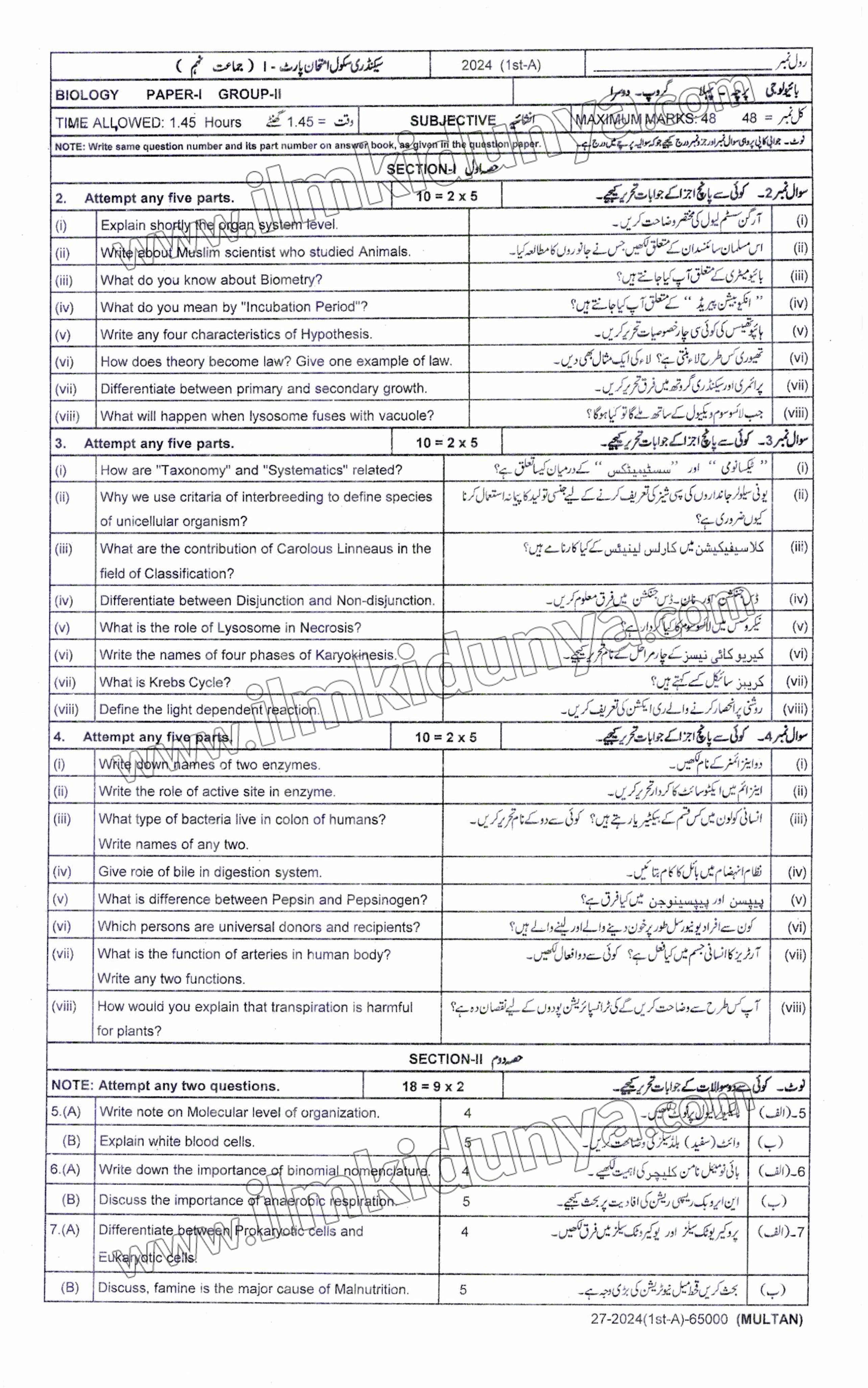 Paper Image